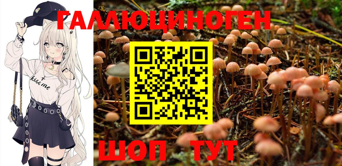 ГАШИШ  Вход с VPN  MDMA  Каннабис  Абинск  ГАШ  МЕФ   Вейп ТГК 