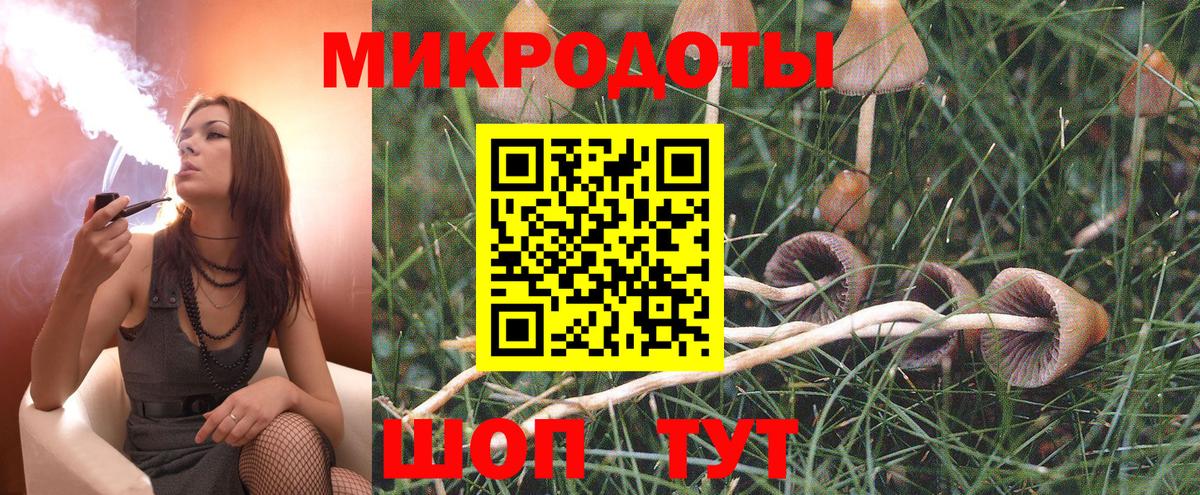 Абинск  Псилоцибиновые грибы прущие грибы  Вход с VPN 